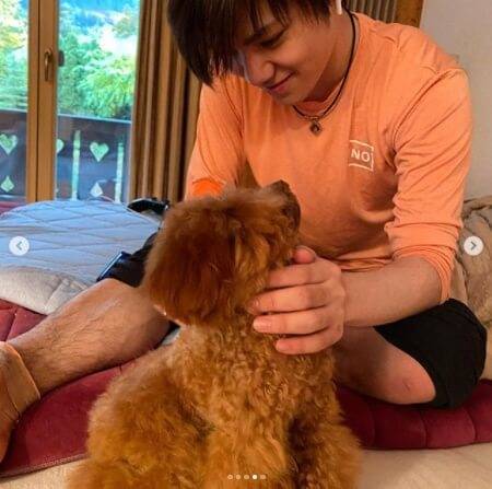 f:id:tanegashimapi:20201017120719j:plain