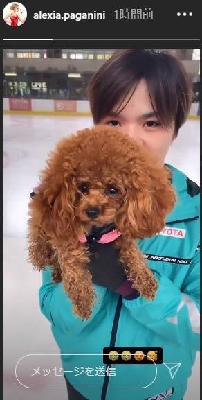 f:id:tanegashimapi:20201019004258j:plain f:id:tanegashimapi:20201019004258j:plain