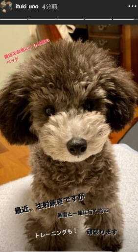 f:id:tanegashimapi:20201022141054j:plain