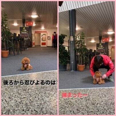 f:id:tanegashimapi:20201024024506j:plain