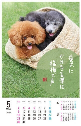 f:id:tanegashimapi:20201026191530j:plain