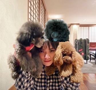 f:id:tanegashimapi:20210305122101j:plain