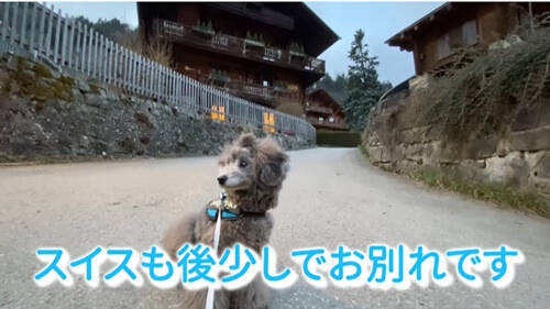 f:id:tanegashimapi:20210309231515j:plain