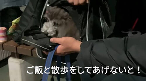 f:id:tanegashimapi:20210315122958j:plain