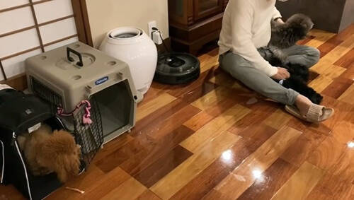 f:id:tanegashimapi:20210315123328j:plain