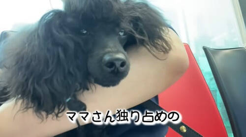 f:id:tanegashimapi:20210522231124j:plain