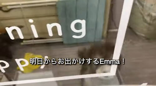 f:id:tanegashimapi:20210824213905j:plain