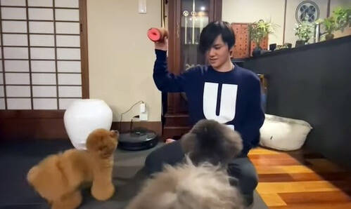 f:id:tanegashimapi:20211117220301j:plain