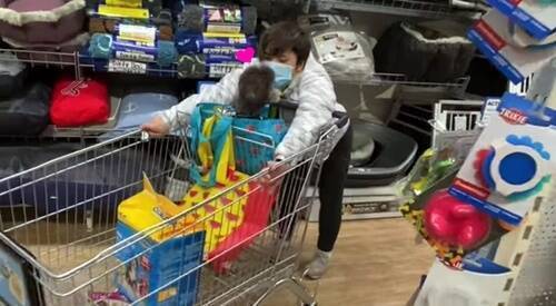 f:id:tanegashimapi:20211222011022j:plain