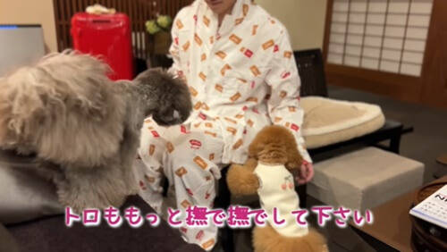 f:id:tanegashimapi:20211222011834j:plain