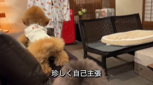 f:id:tanegashimapi:20211222012105j:plain