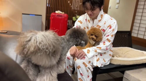 f:id:tanegashimapi:20211222012200j:plain