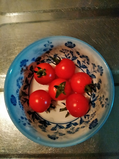 f:id:tanekko12:20200626073739j:image f:id:tanekko12:20200626073739j:image