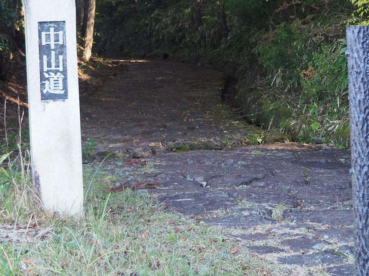 f:id:tanemaki_garden:20210808154101j:plain