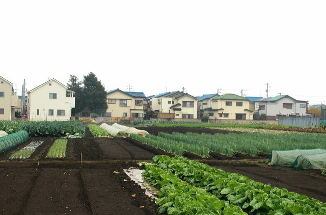 f:id:tanemayu:20201222085956j:image f:id:tanemayu:20201222085956j:image
