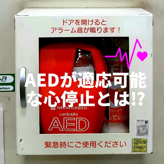f:id:tanemayu:20210510160703j:image f:id:tanemayu:20210510160703j:image