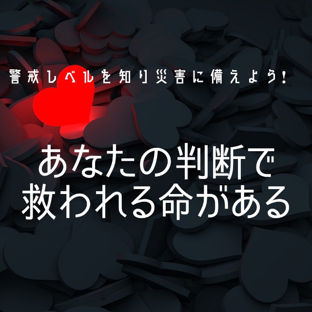 f:id:tanemayu:20210519142224j:image f:id:tanemayu:20210519142224j:image