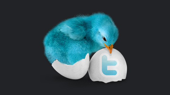 Blue Bird Twitter Icon Pack