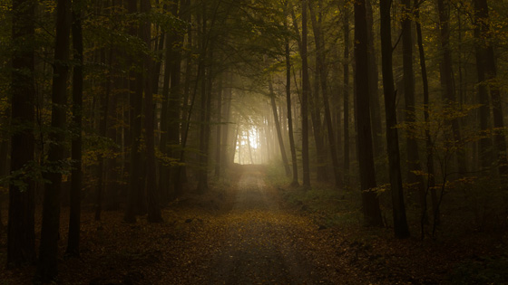 The Road