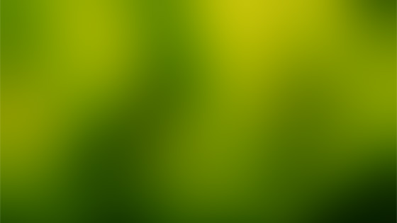 f:id:tanemori:20101212111719j:image