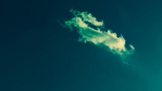 f:id:tanemori:20121125120548j:image