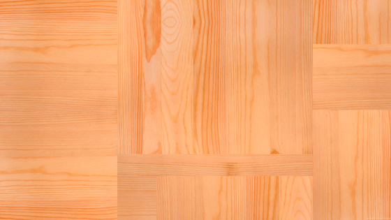 f:id:tanemori:20121125120555j:image