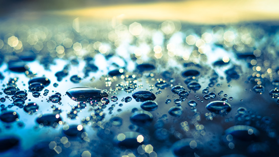 f:id:tanemori:20130203093136j:image