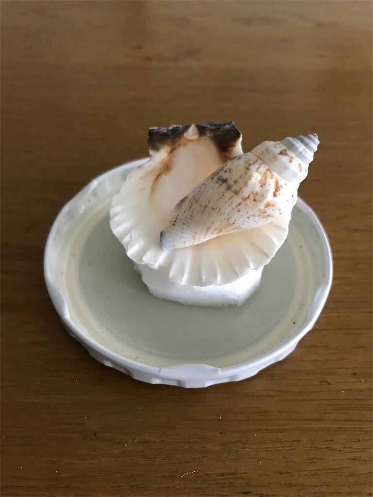 f:id:tanenolog:20180729074549j:image f:id:tanenolog:20180729074549j:image