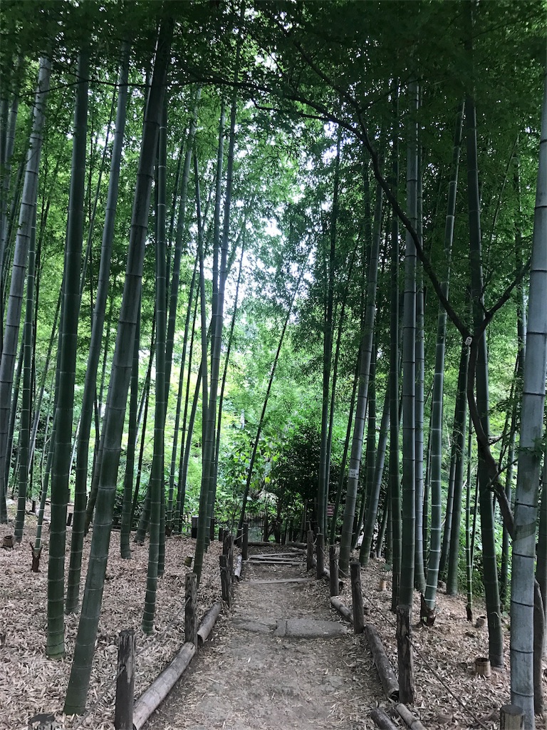 f:id:tanenolog:20180806180921j:image f:id:tanenolog:20180806180921j:image