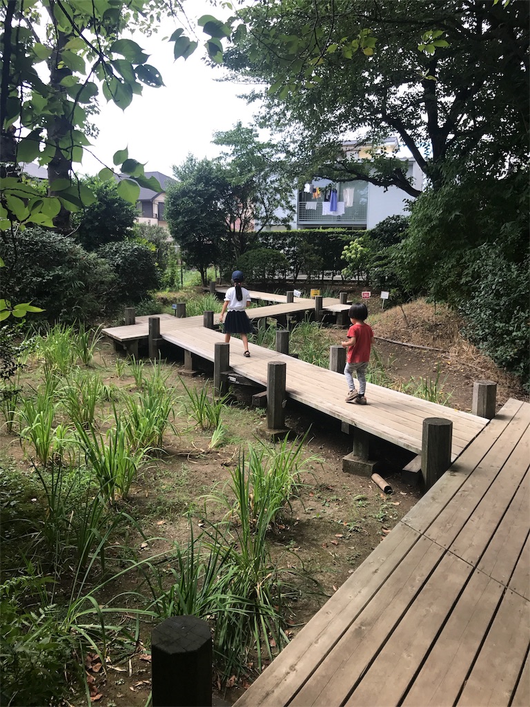 f:id:tanenolog:20180806181225j:image f:id:tanenolog:20180806181225j:image