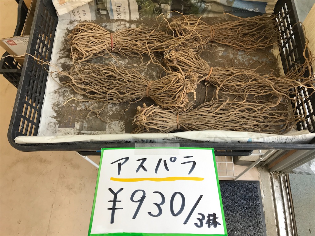 f:id:tanetonae:20210509195146j:image f:id:tanetonae:20210509195146j:image
