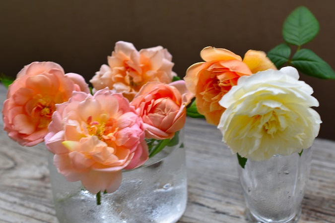 f:id:tangerinekun:20181008235606j:plain f:id:tangerinekun:20181008235606j:plain