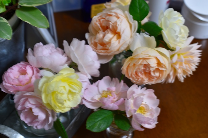 f:id:tangerinekun:20181009004352j:plain f:id:tangerinekun:20181009004352j:plain