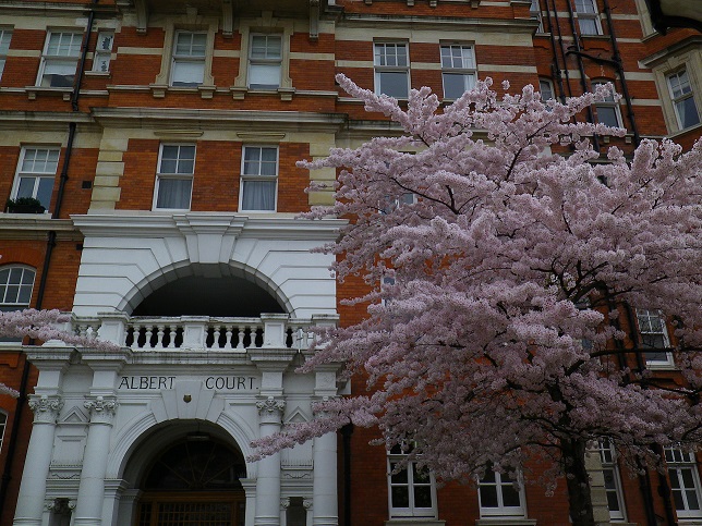 f:id:tangerinekun:20190117020829j:plain