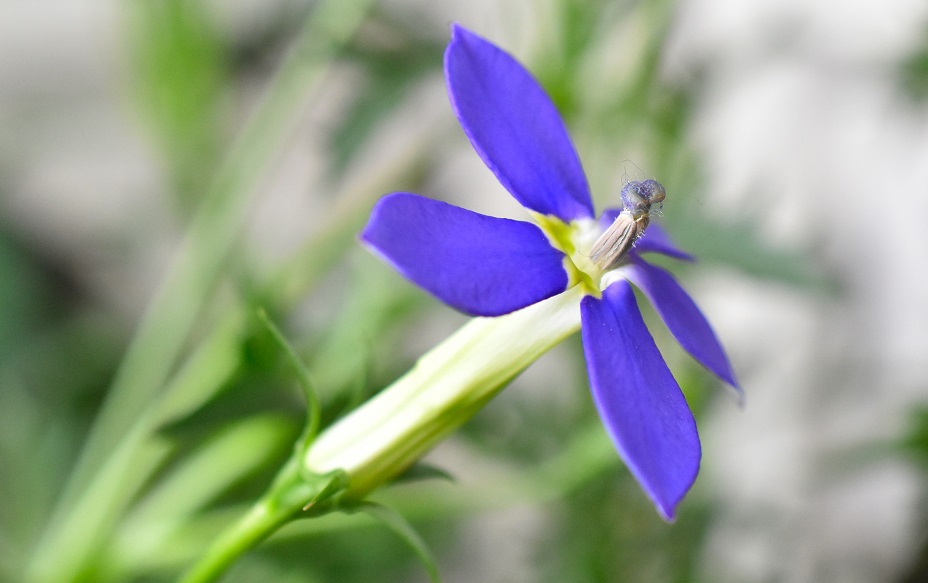f:id:tangerinekun:20190501112957j:plain f:id:tangerinekun:20190501112957j:plain