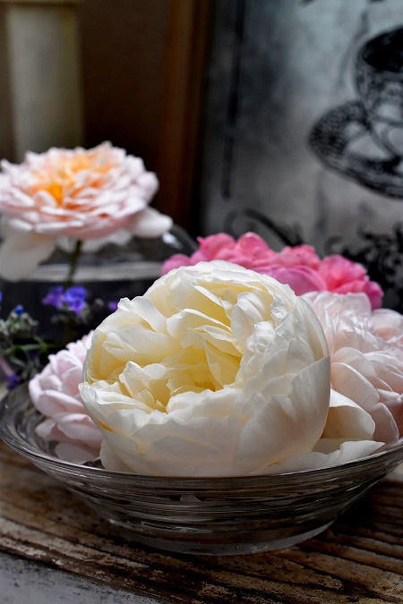 f:id:tangerinekun:20190515214341j:plain f:id:tangerinekun:20190515214341j:plain