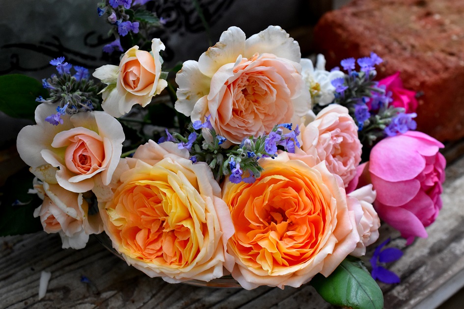 f:id:tangerinekun:20190527064210j:plain