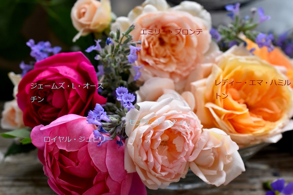 f:id:tangerinekun:20190527213145j:plain f:id:tangerinekun:20190527213145j:plain