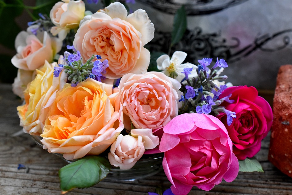 f:id:tangerinekun:20190527215415j:plain f:id:tangerinekun:20190527215415j:plain