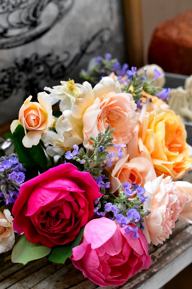 f:id:tangerinekun:20190527215625j:plain f:id:tangerinekun:20190527215625j:plain