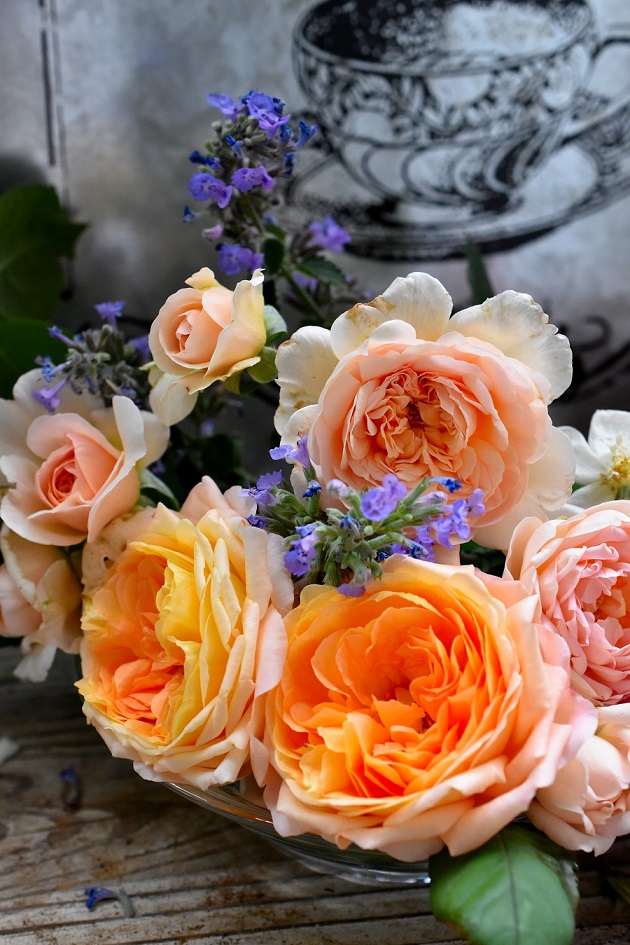 f:id:tangerinekun:20190527215814j:plain f:id:tangerinekun:20190527215814j:plain