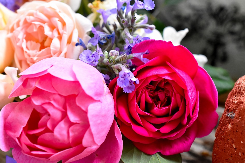 f:id:tangerinekun:20190527220432j:plain f:id:tangerinekun:20190527220432j:plain
