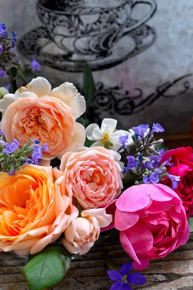 f:id:tangerinekun:20190527220741j:plain f:id:tangerinekun:20190527220741j:plain