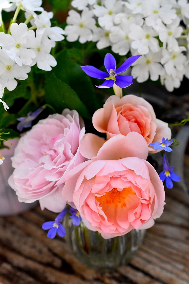 f:id:tangerinekun:20190611105420j:plain