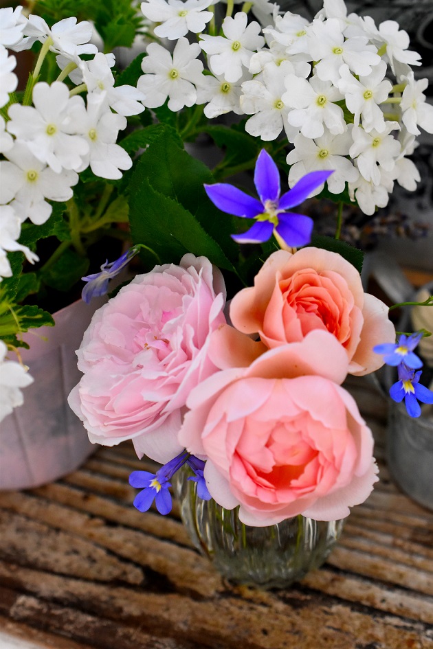 f:id:tangerinekun:20190611105721j:plain