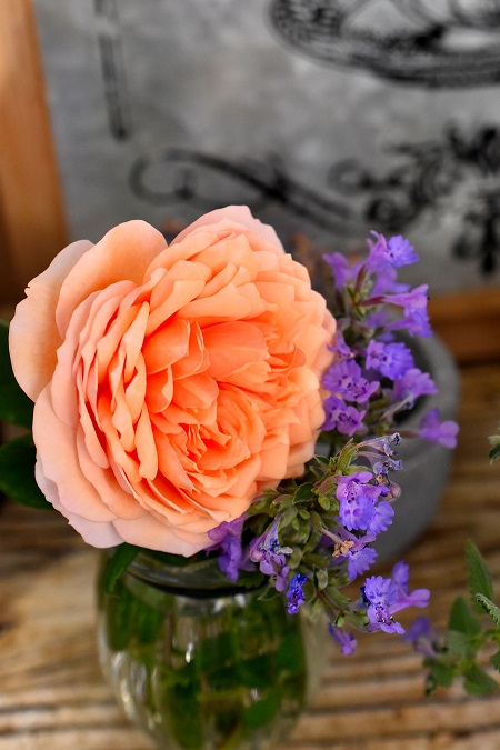f:id:tangerinekun:20190613074244j:plain