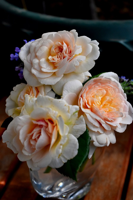 f:id:tangerinekun:20190613075809j:plain