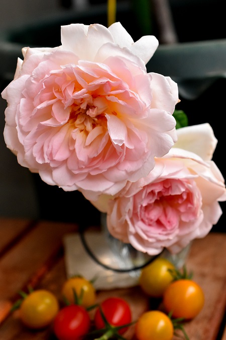 f:id:tangerinekun:20190625074751j:plain f:id:tangerinekun:20190625074751j:plain