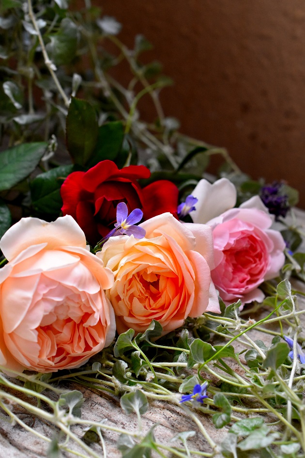 f:id:tangerinekun:20190625075628j:plain f:id:tangerinekun:20190625075628j:plain