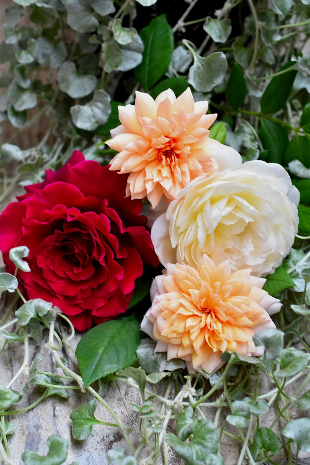 f:id:tangerinekun:20190721215648j:plain f:id:tangerinekun:20190721215648j:plain
